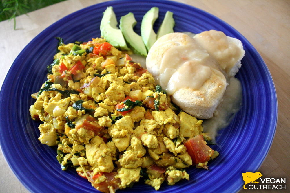 Recipes for Biscuits and Gravy and Tofu Scramble from Vegan Outreach!