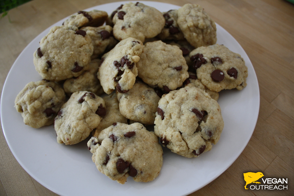 Recipe for simple Vegan Chocolate Chip Cookies on the Vegan Outreach blog!