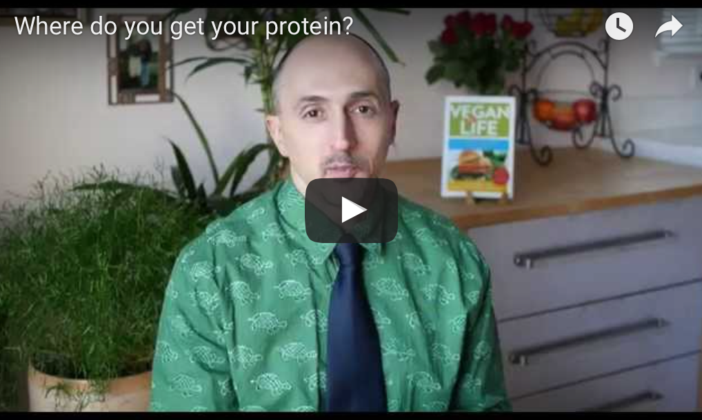 Where Do Vegans Get Their Protein? Vegan RD Jack Norris tells you how!