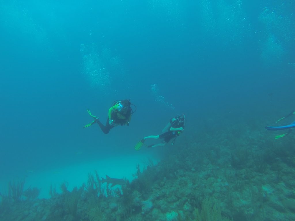 Taylor Radig and Ezra Michaels Scuba Diving