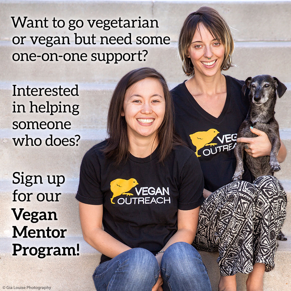 4 Reasons to Join VO’s Vegan Mentor Program