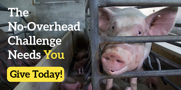The No-Overhead Challenge Needs You! Donate Today!