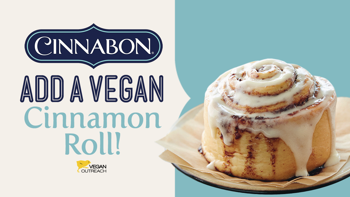 Синабон меню. Vegan Cinnabon. Синнабон жидкость. Мишка Синнабон. Cinnabon жижа.