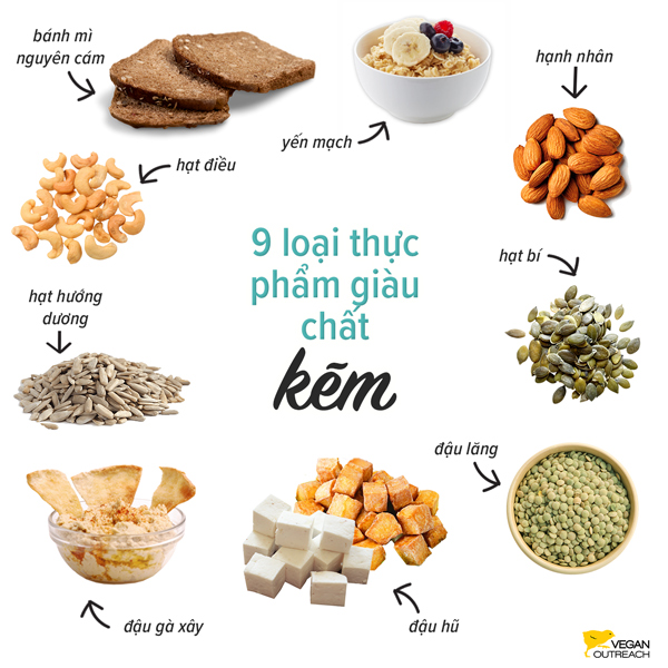 Nutrition Tips for New Vegans (Vietnamese) Vegan Outreach