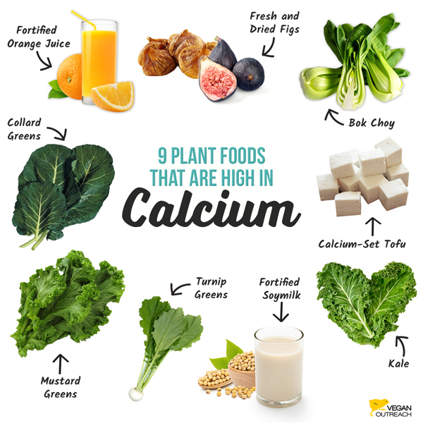 9 Plant foods that are high in Calcium