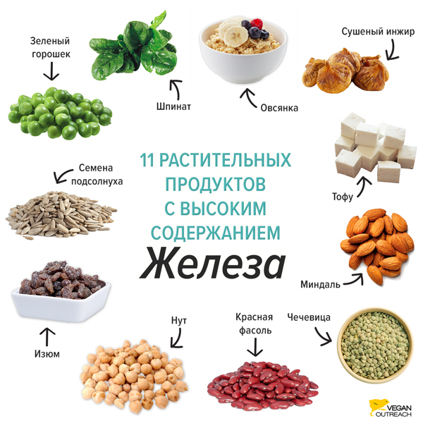 Продукты богатые железом картинки