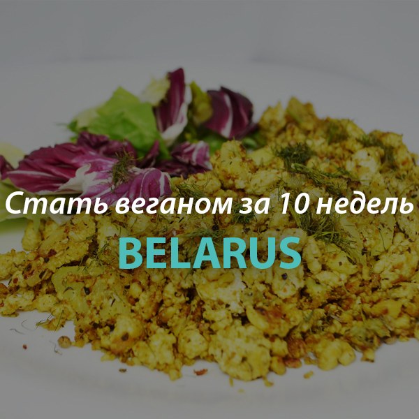 Стать веганом за 10 недель Belarus