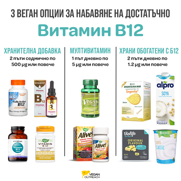 Хранителни Съвети за Нови Вегани - Vegan Outreach