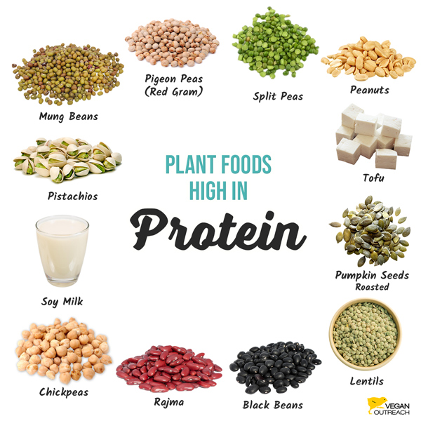 Plant foods high in protein: Pigeon Peas (Red Gram), Split Peas, Peanuts, Tofu, Pumpkin Seeds Roasted, Lentils, Black Beans, Rajma, Chickpeas, Soy Milk, Pistachios, Mung Beans