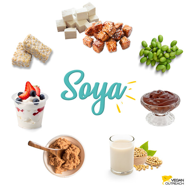 Soya: Tofu; Tempeh; Edamame; Chocolate pudding made from silken tofu; Soyamilk; Soya yogurt; Soya miso