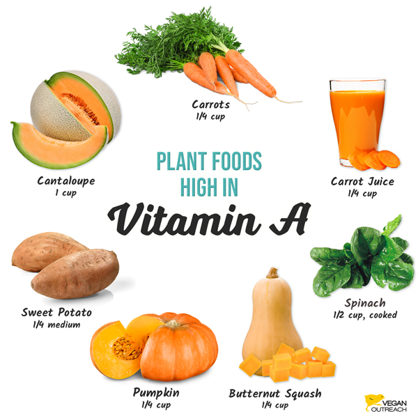 Plant foods high in vitamin A: Carrots (1/4 cup), Carrot Juice (1/4 cup), Spinach (1/2 cup, cooked), Butternut Squash (1/4 cup), Pumpkin (1/4 cup), Sweet Potato (1/4 medium), Cantaloupe (1 cup)