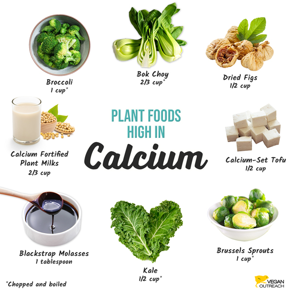 Plant foods high in calcium: Broccoli (1 cup*), Bok Choy (2/3 cup*), Dried Figs (1/2 cup), Calcium-Set Tofu (1/2 cup), Brussels Sprouts (1 cup*), Calcium Fortified Plant Milks (2/3 cup), Kale (1/2 cup*), Blackstrap Molasses (1 tablespoon), *Chopped and boiled