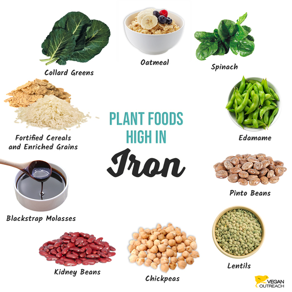 Plant foods high in iron: Spinach, Edamame, Pinto Beans, Lentils, Chickpeas, Kidney Beans, Blackstrap Molasses, Fortified Cereals and Enriched Grains, Collard Greens, Oatmeal