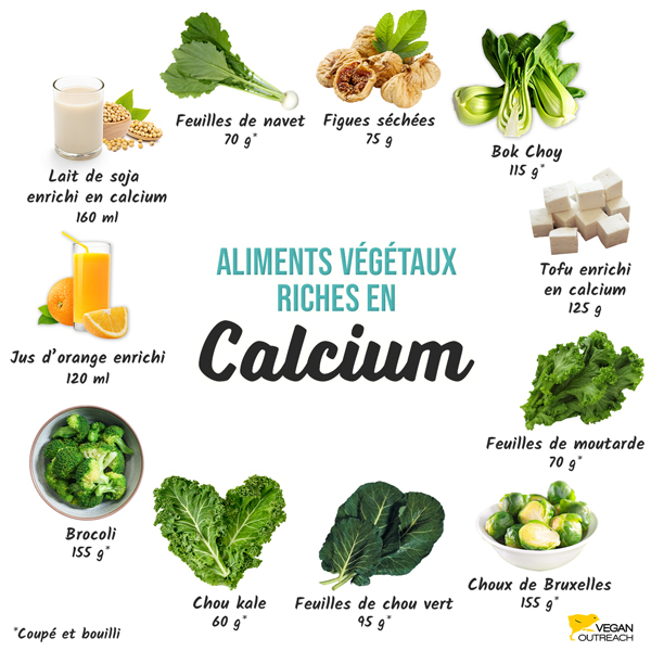 Aliments végétaux riches en calcium : brocoli (1 tasse), bok choy (⅔ tasse), figues séchées (½ tasse), jus d'orange (enrichi en calcium, ½ tasse), tofu (enrichi en calcium, ½ tasse), feuilles de moutarde (½ tasse), feuilles de navet (½ tasse), lait de soja (enrichi en calcium, ⅔ tasse), choux de Bruxelles (1 tasse), feuilles de chou vert (⅓ tasse), chou kale (½ tasse)