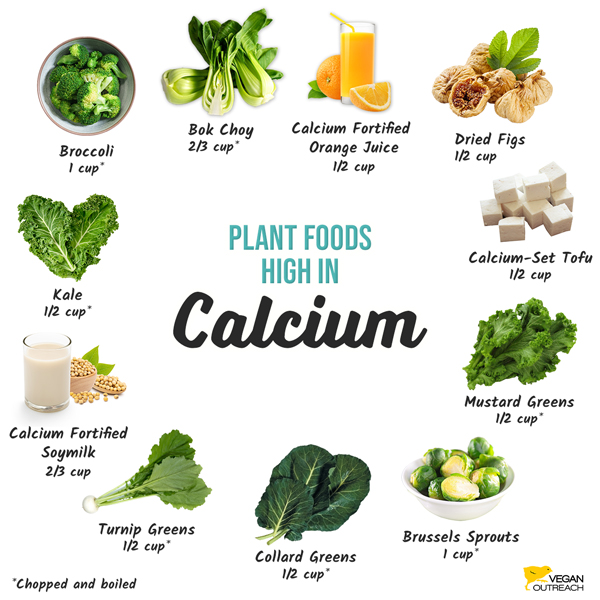 Plant foods high in calcium: Broccoli (1 cup*), Bok choy (2/3 cup*), Calcium-fortified Orange juice (1/2 cup), Dried figs (1/2 cup), Calcium-set Tofu (1/2 cup), Mustard greens (1/2 cup*), Brussels sprouts (1 cup*), Collard greens (1/2 cup*), Turnip greens (1/2 cup*), Soymilk (calcium-fortified, 2/3 cup), Kale (1/2 cup*)