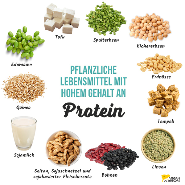 Pflanzliche Lebensmittel mit hohem Gehalt an Protein: Edamame, Seitan, Sojaschnetzel & sojabasierter Fleischersatz, Sojafleisch, Spalterbsen, Erdnüsse, Tofu, Tempeh, Linsen, Bohnen, Kichererbsen, Sojamilch, Quinoa