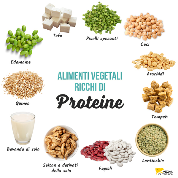 Alimenti vegetali ricchi di proteine: edamame, seitan e derivati della soia, piselli spezzati, arachidi, tofu, tempeh, lenticchie, fagioli, ceci, bevanda di soia e quinoa.