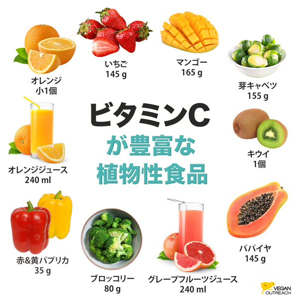 ビタミンC
を多く含む
植物性食品：
オレンジ（小1個）、
いちご（145 g）、
マンゴー（165 g）、
芽キャベツ（155 g）、
キウイ（1個）、
パパイヤ（145 g）、
グレープフルーツジュース（240 ml）、
赤・黄パプリカ（35 g）、
ブロッコリー（80 g）、
オレンジジュース（240 m）
