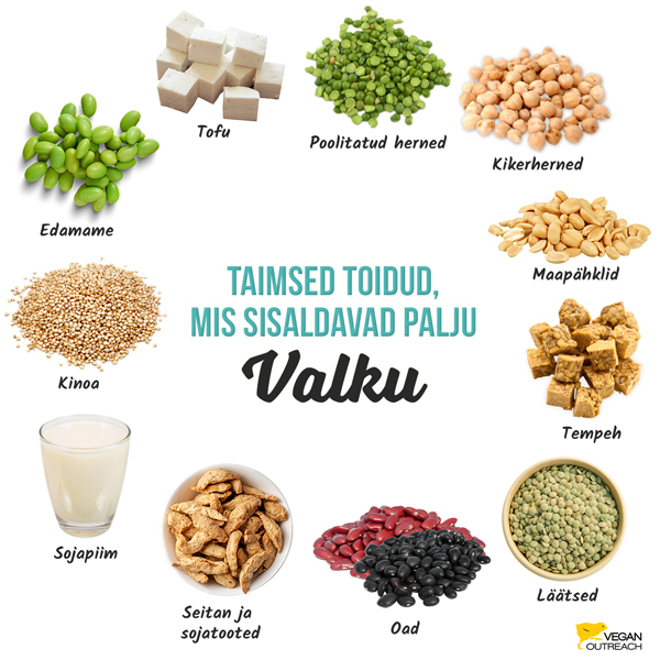 Taimsed toidud, mis sisaldavad palju valku: edamame, seitan ja sojatoote, purustatud herned, maapähklid, tofu, tempeh, läätsed, oad, kikerherned, sojapiim, kinoa