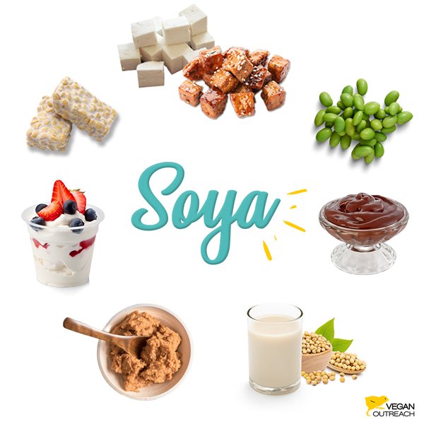 Soya: Tauhu, Tempe, Kacang Bulu, Puding coklat daripada tauhu lembut, Susu Soya, Yogurt Soya, Aiskrim soya