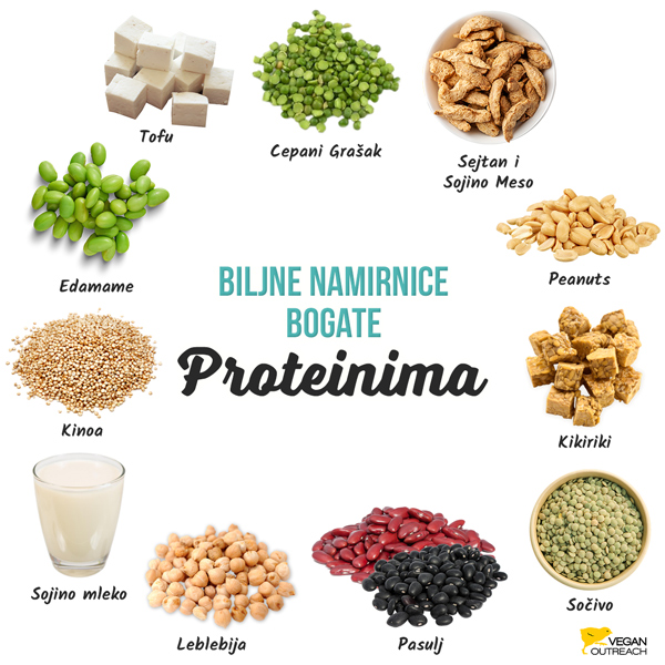 Biljna Hrana Bogata Proteinima: Edamame, Sejtan & Sojino Meso, Cepani Grašak, Kikiriki, Tofu, Tempeh, Sočivo, Pasulj, Leblebije, Sojino Mleko, Kinoa