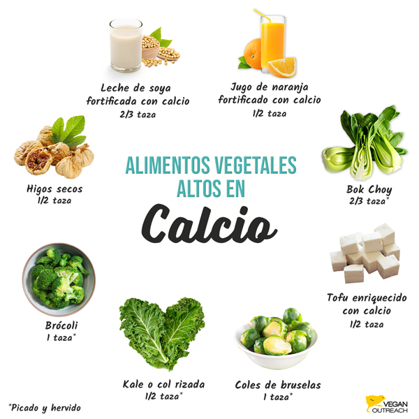 Alimentos vegetales con alto contenido de calcio: brócoli (1 taza*), bok choy (2/3 taza*), jugo de naranja fortificado con calcio (1/2 taza), higos secos (1/2 taza), tofu enriquecido con calcio (1/2 taza), coles de bruselas (1 taza*), leche de soya (fortificada con calcio, 2/3 taza), Kale (1/2 taza*), *picada y hervida