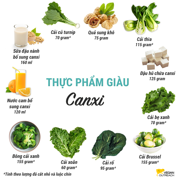 Thực Phẩm Thực Vật Giàu Canxi: Bông cải xanh (1 cốc), Cải thìa (2/3 cốc), Quả sung khô (1/2 cốc), Nước cam (bổ sung canxi, 1/2 cốc), Đậu hũ (làm từ canxi, 1/2 cốc), Cải bẹ xanh (1/2 cốc), Củ cải turnip (1/2 cốc), Sữa đậu nành (bổ sung canxi, 2/3 cốc), Cải Brussel (1 cốc), Cải rổ (1/3 cốc), Cải xoăn (½ cốc).