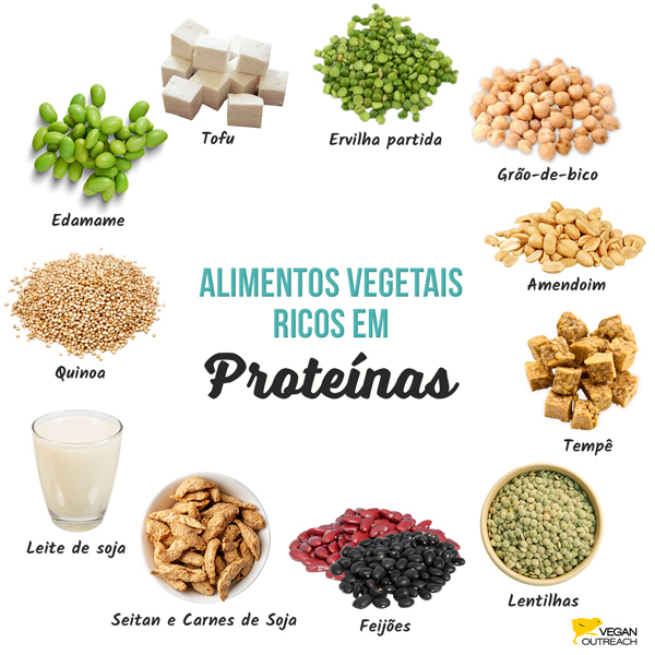 Alimentos Vegetais Ricos em Proteínas: Edamame, Seitan e Carnes de Soja, Ervilhas Partidas, Amendoim, Tofu, Tempê, Lentilhas, Feijões, Grão-de-bico, Leite de soja, Quinoa