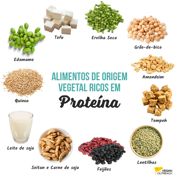 Alimentos de Origem Vegetal Ricos em Proteína: Edamame, Seitan e Carnes de Soja, Ervilhas, Amendoim, Tofu, Tempeh, Lentilhas, Feijões, Grão-de-bico, Leite de Soja, Quinoa