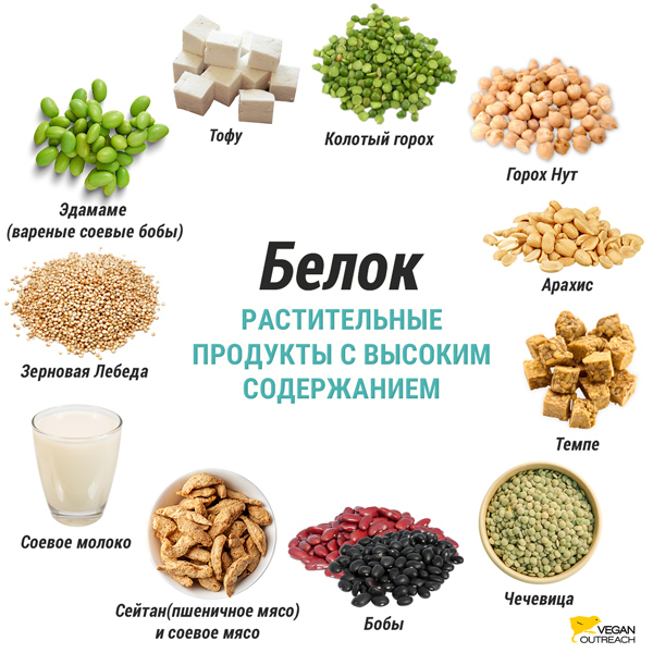 Растительные продукты с высоким содержанием белка: эдамаме, сейтан и соевое мясо, горох, арахис, тофу, темпе, чечевица, фасоль, нут, соевое молоко, киноа