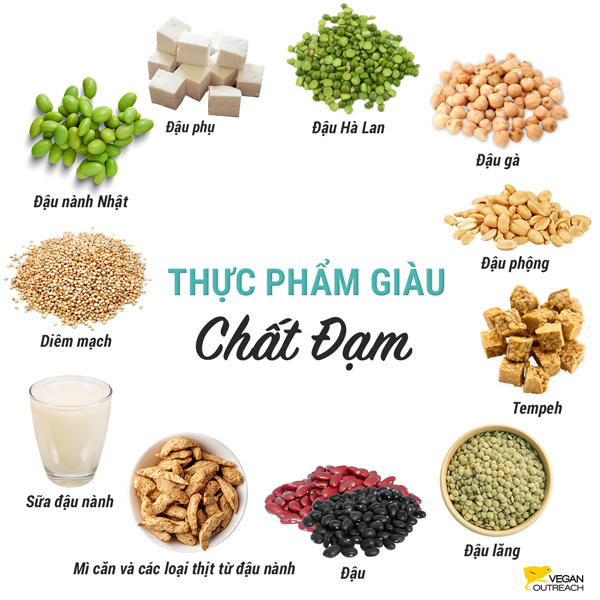 Thực phẩm thực vật giàu đạm: Đậu nành Nhật, mì căn và các loại thịt từ đậu nành, Đậu hà lan, Đậu phộng, Đậu hũ, Tempeh, Đậu lăng, Đậu, Đậu gà, Sữa đậu nành, Diêm mạch