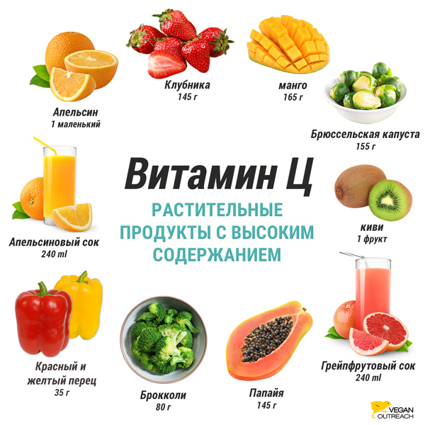 РАСТИТЕЛЬНЫЕ ПРОДУКТЫ С ВЫСОКИМ
Vitamin C
Витамин C
манго
165 г
Брюссельская капуста
155 г
киви
1 фрукт
Папайя
145 г
Грейпфрутовый сок
240 ml
Красный и желтый перец
35 г
Брокколи
80 г
Апельсиновый сок
240 ml
Апельсин
1 маленький
Клубника
145 г