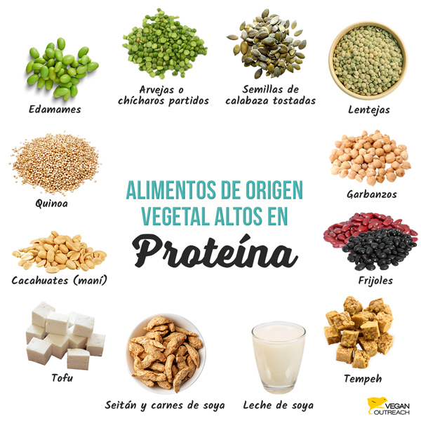 Alimentos vegetales ricos en proteínas: edamames, seitán y carnes de soja, guisantes partidos, cacahuates, tofu, tempeh, lentejas, frijoles, garbanzos, leche de soya y quinoa