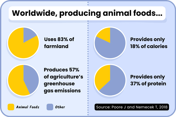 Worldwide, producing animal foods uses 83% of farmland, produces 57% of agriculture's greenhouse gas emissions, and provides only 18% of calories and 37% of protein