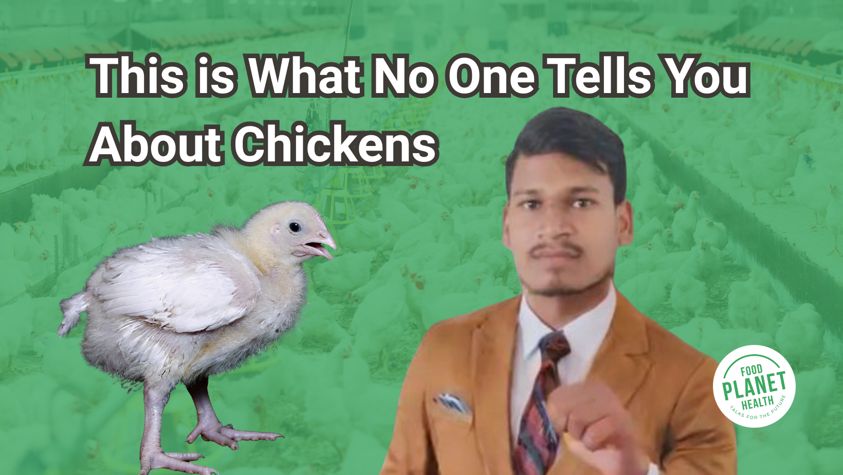 Youtube thumbnail with isolated images of a chicken and a student. Text on the image reads 