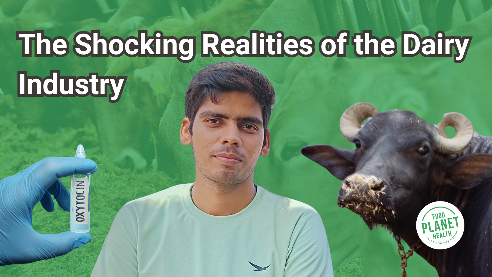 Youtube thumbnail with images of oxytocin, a student, and a cow. Text on the image reads, 