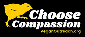 Choose Compassion bumper sticker