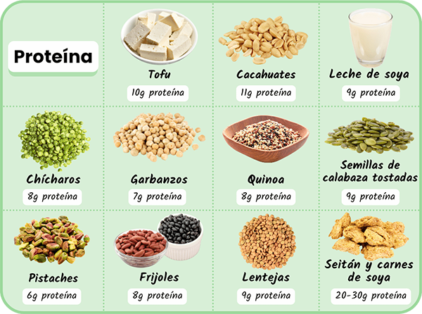 Alimentos veganos típicos ricos en proteínas: tofu 10 g, maní 11 g, leche de soja 9 g, guisantes 8 g, garbanzos 7 g, quinua 8 g, edamame 8 g, tempeh 15 g, frijoles 8 g, lentejas 9 g, seitán y carnes de soja 20-30 g de proteína por porción