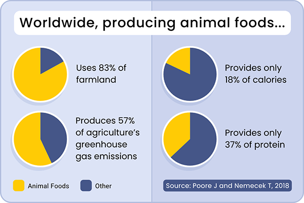 Worldwide, producing animal foods uses 83% of farmland, produces 57% of agriculture's greenhouse gas emissions, and provides only 18% of calories and 37% of protein