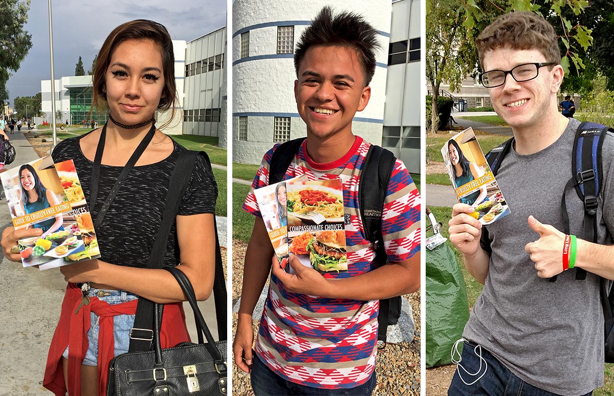 Students at Cerritos College and SUNY New Paltz