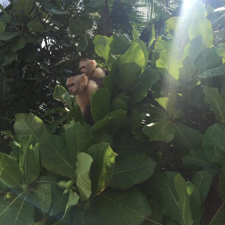 Manuel Antonio State Park