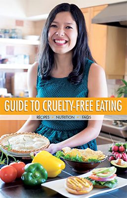 New Guide To Cruelty-Free Eating booklet by Vegan Outreach! Read more about it.