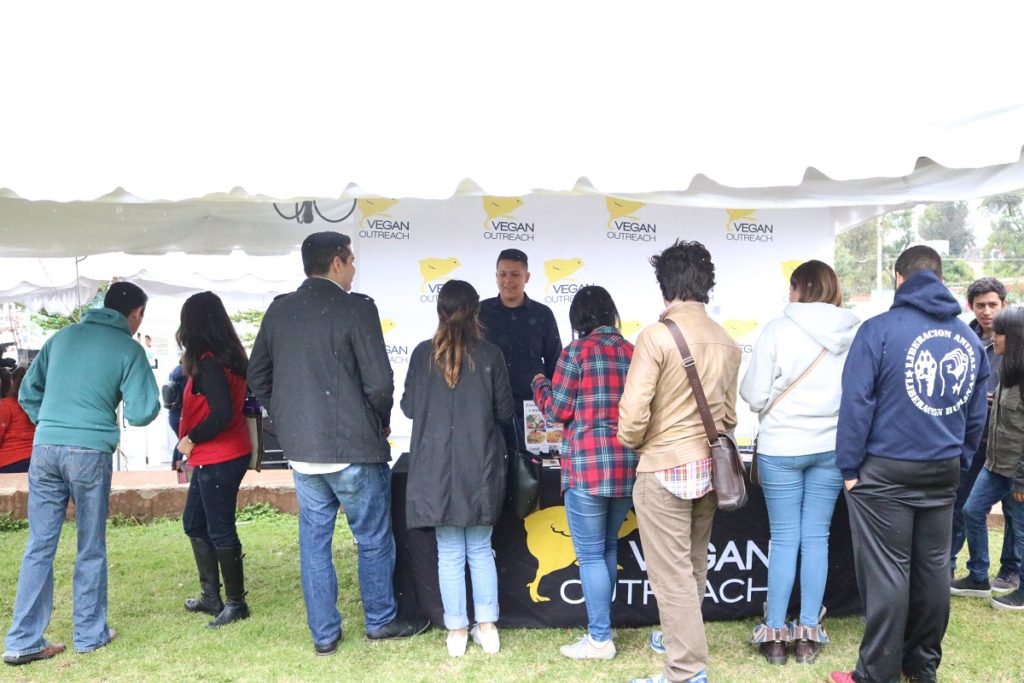 Jalisco Vegan Fest Table 1