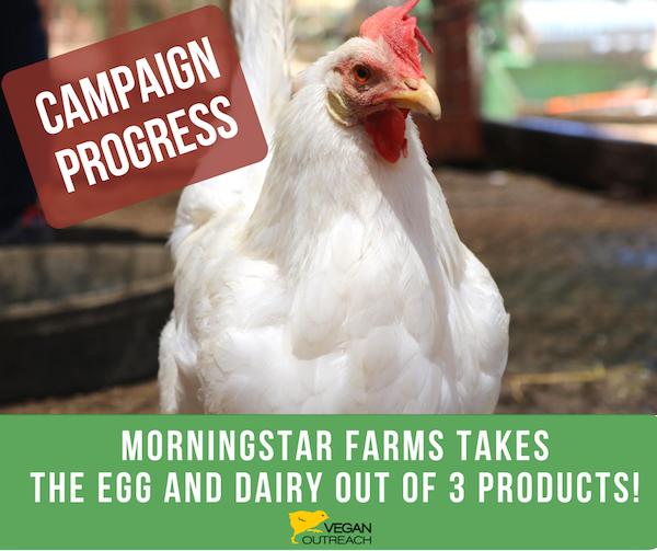 Big News for our Morningstar Farms Campaign!