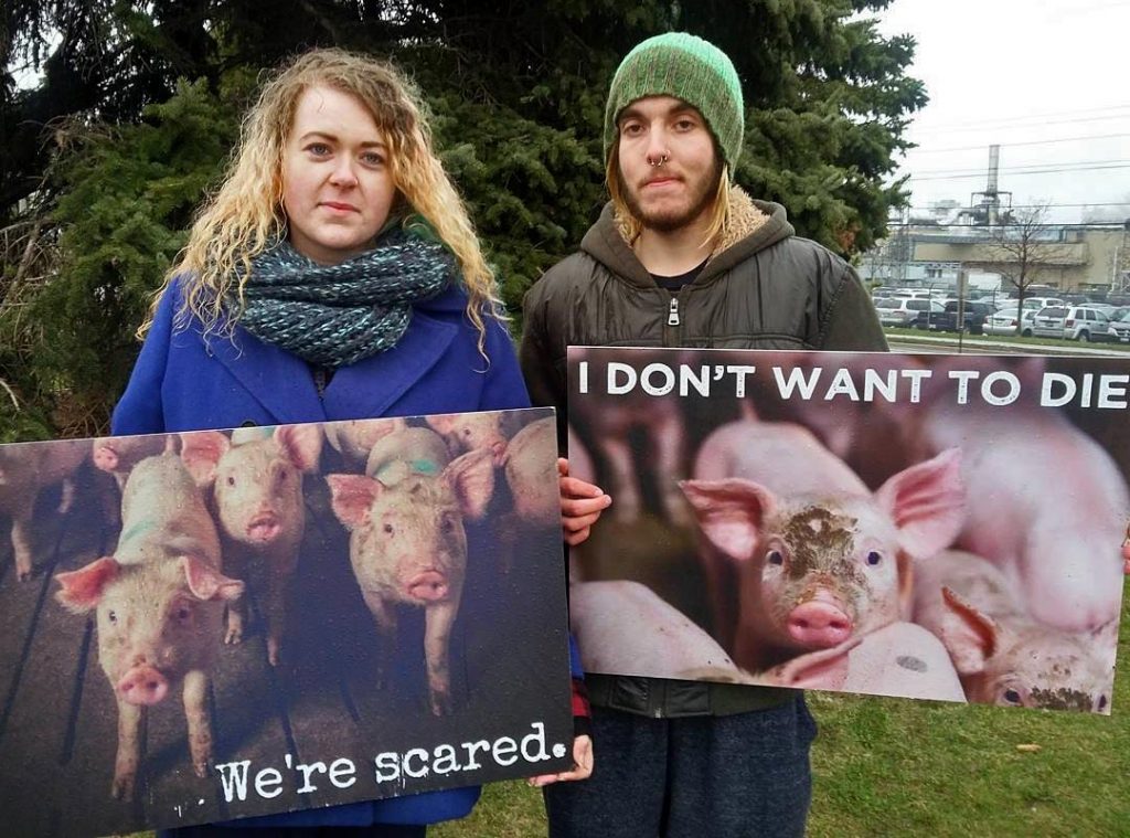 Sam-John-Toronto_Pig_Save_Vigil-Apr17