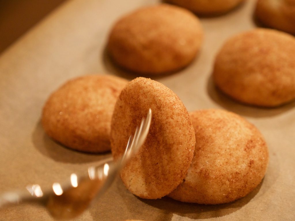 Snickerdoodle Bottoms