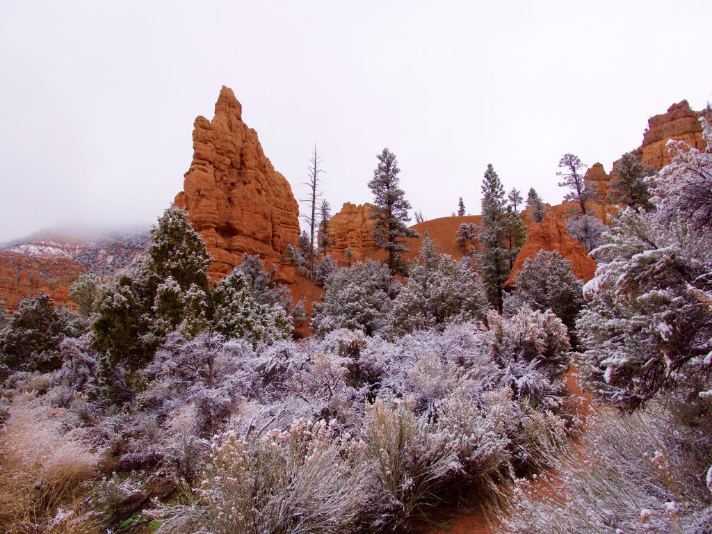 Sprinkling of Snow On The Drive Out—Bryce Canyon National Park