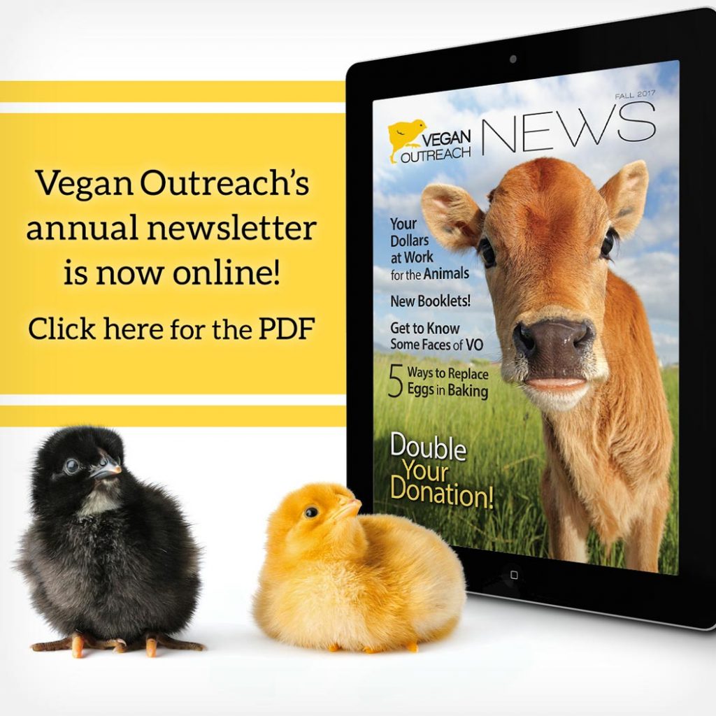 VO's annual newsletter is now online