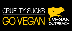 Bumper Sticker – Cruelty Sucks Go Vegan