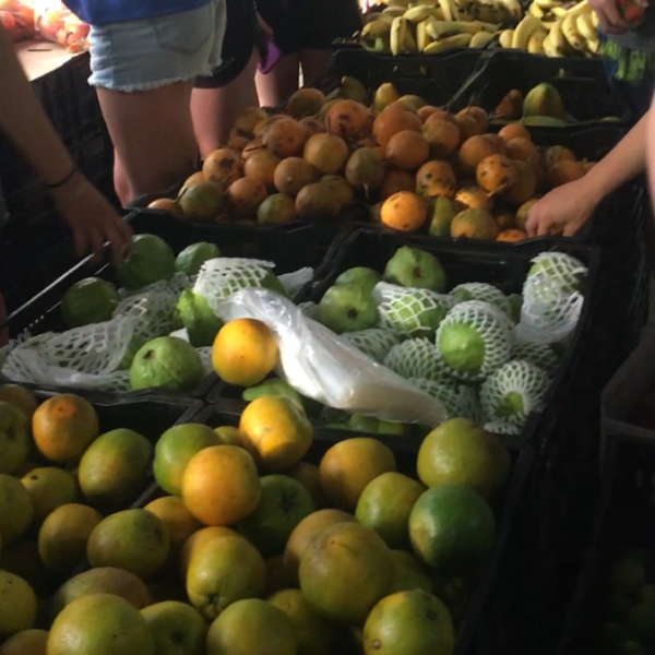 Fruit Market